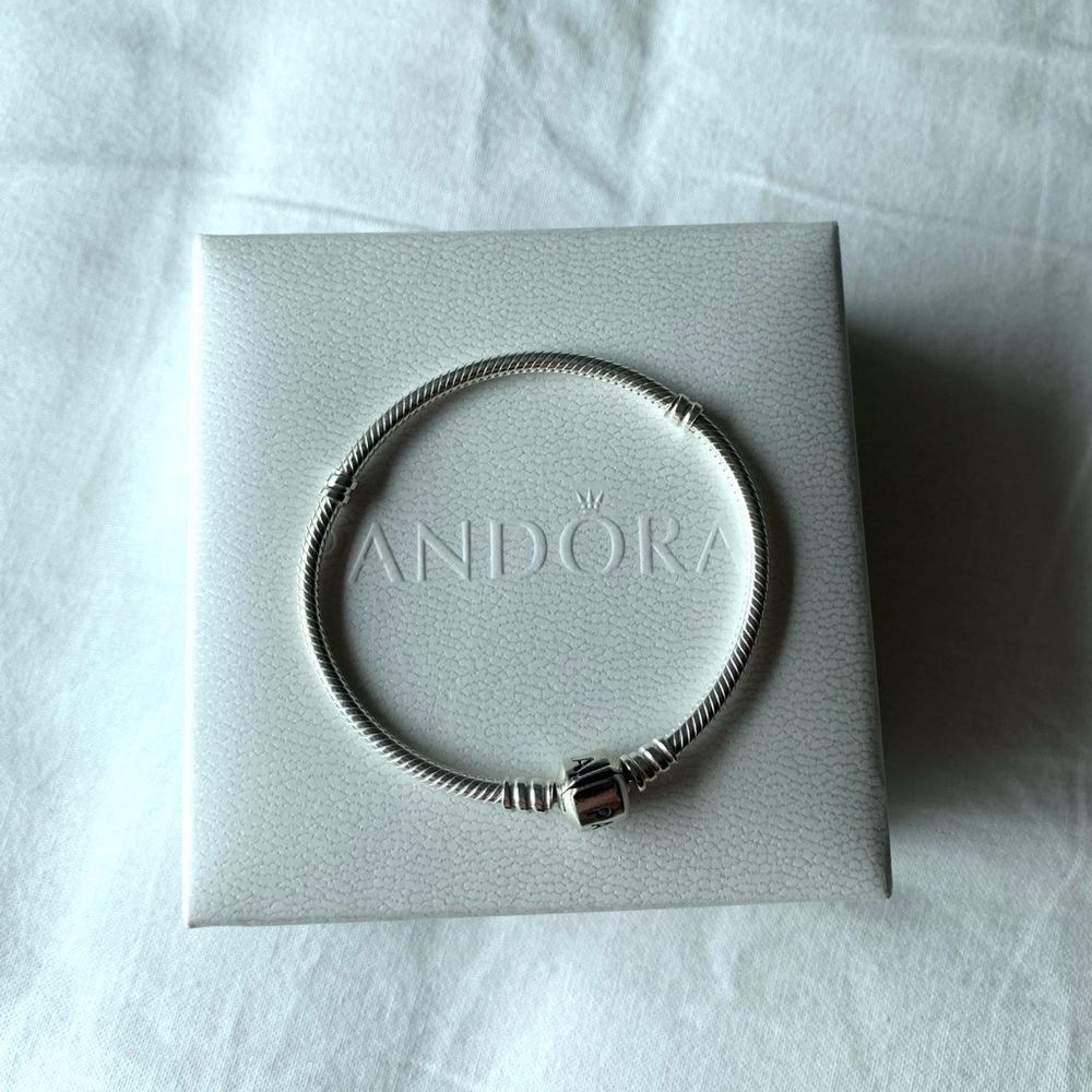 Pandora Bracelet